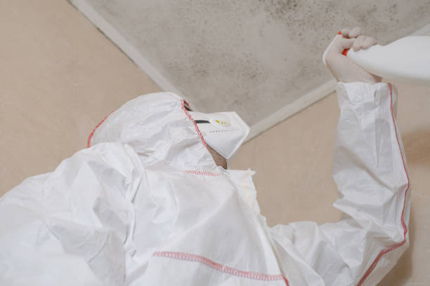 Best DIY Mold Remediation Support Services in Vienna, GA